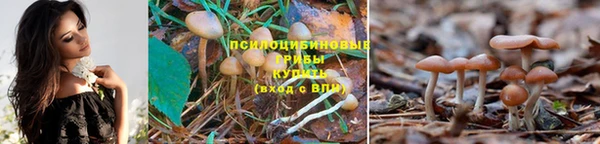 MESCALINE Баксан