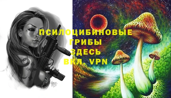 MESCALINE Баксан