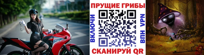 Галлюциногенные грибы GOLDEN TEACHER  Купить  Ладушкин 